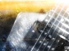 Wallpaper 2011 #1