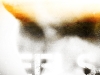 LB_wp_2011_6