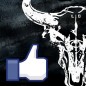 facebook_like